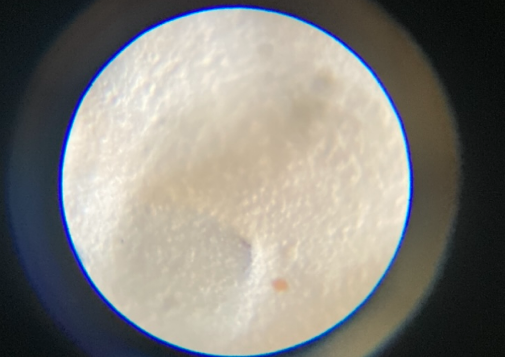 スコープ施工後/きめ細かな外壁に！