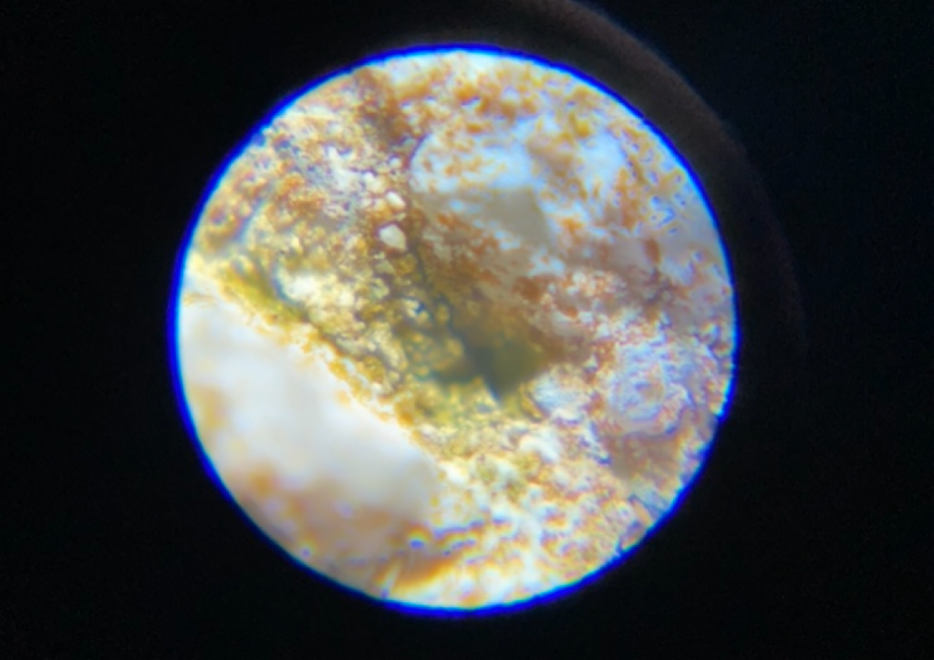 スコープ施工前