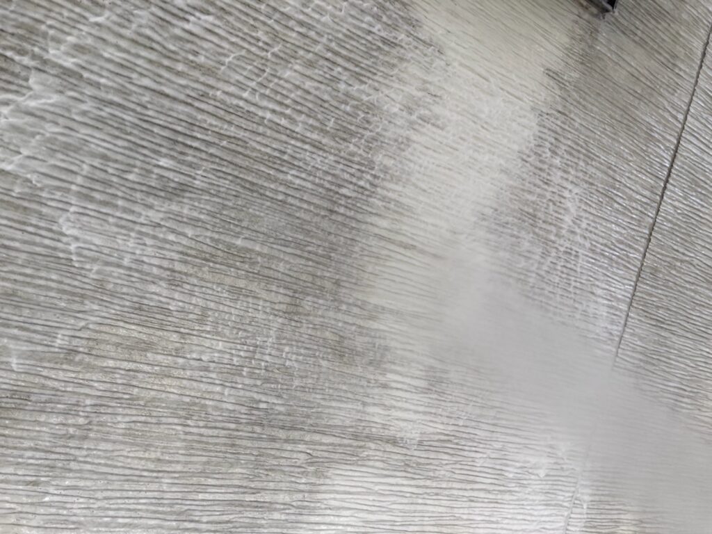 バイオ洗浄状況