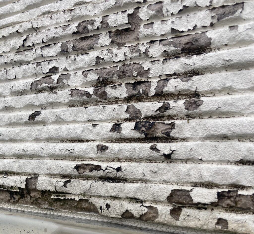 外壁塗装をしないとどうなる？サイディングで考える「貼り替え前のギリギリライン」