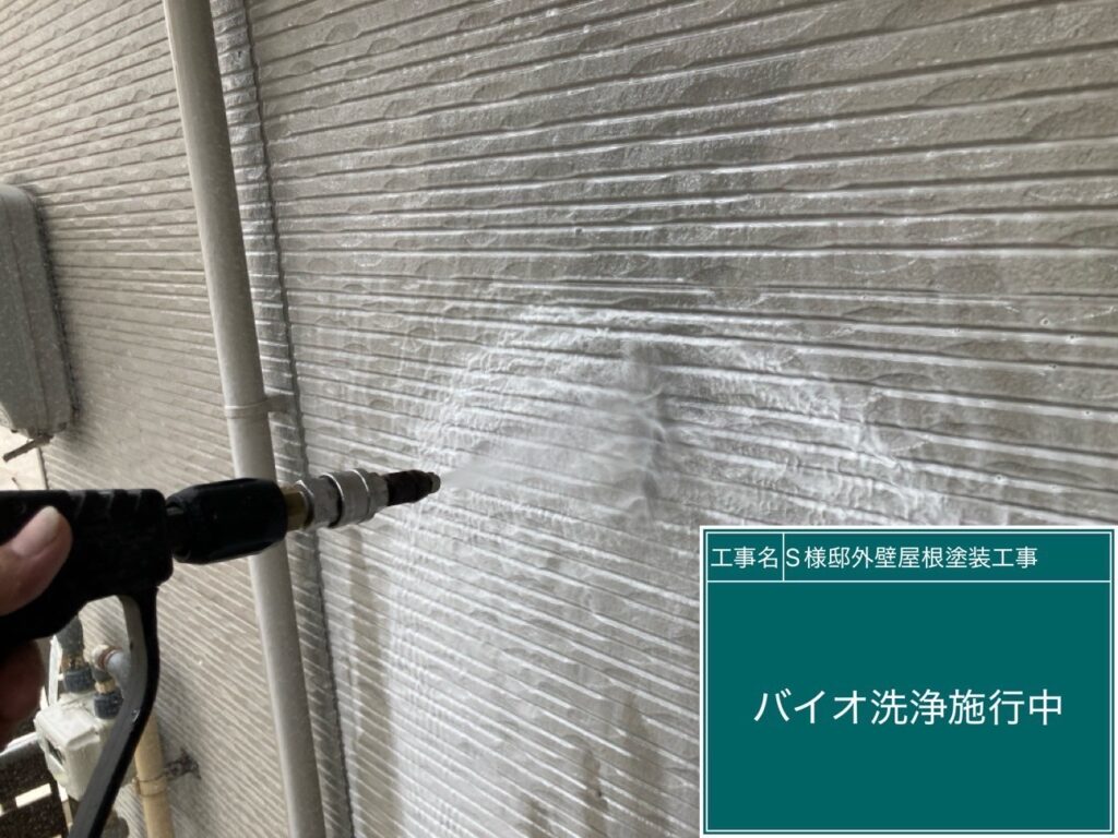 壁バイオ洗浄